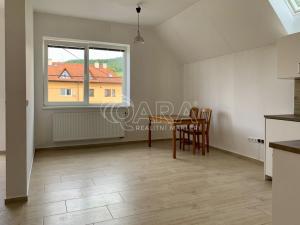 Pronájem bytu 1+kk, Čebín, 40 m2