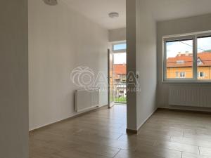 Pronájem bytu 1+kk, Čebín, 40 m2
