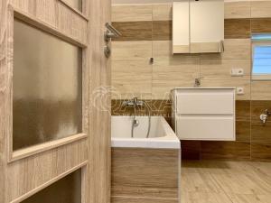 Pronájem bytu 1+kk, Čebín, 40 m2