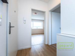 Pronájem bytu 2+kk, Strančice, K Pískovně, 52 m2