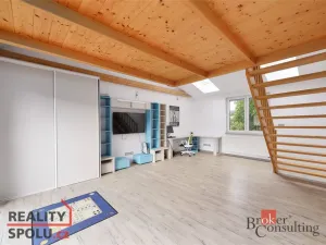 Prodej rodinného domu, Starý Plzenec, Luční, 231 m2