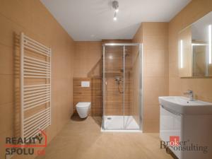 Pronájem bytu 1+kk, Plzeň - Jižní Předměstí, Měděná, 36 m2