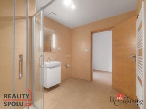 Pronájem bytu 1+kk, Plzeň - Jižní Předměstí, Měděná, 36 m2