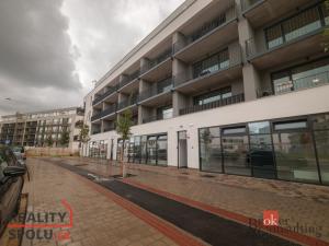 Pronájem bytu 1+kk, Plzeň - Jižní Předměstí, Měděná, 36 m2