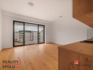 Pronájem bytu 1+kk, Plzeň - Jižní Předměstí, Měděná, 36 m2
