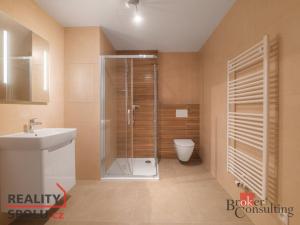 Pronájem bytu 1+kk, Plzeň - Jižní Předměstí, Měděná, 36 m2