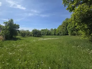 Prodej pozemku pro bydlení, Maršovice, Maršovice, 731 m2