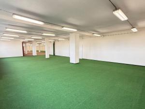 Pronájem obchodního prostoru, Polepy, 1200 m2