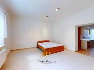Pronájem bytu 1+1, Olomouc - Hodolany, Hálkova, 52 m2