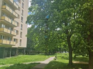 Pronájem bytu 2+1, Moravská Ostrava, Mariánskohorská, 63 m2