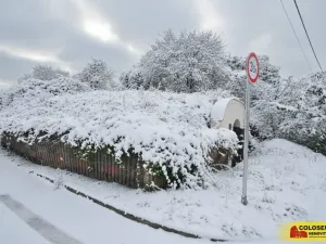 Prodej - jiné, Hrušovany nad Jevišovkou, 36 m2