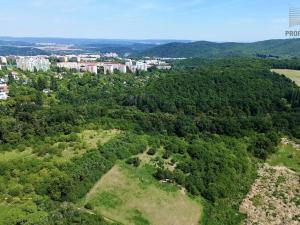 Pronájem bytu 1+kk, Brno, Žabí, 27 m2
