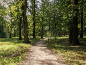 Pronájem bytu 2+kk, Milovice, Višňová, 40 m2