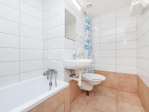 Pronájem bytu 1+1, Kralupy nad Vltavou, sídl. Hůrka, 30 m2