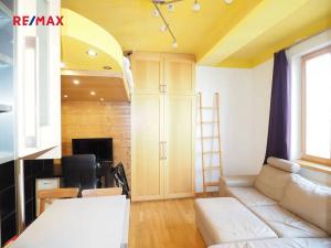 Pronájem bytu 1+kk, Praha - Vinohrady, Hradešínská, 24 m2