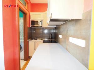 Pronájem bytu 1+kk, Praha - Vinohrady, Hradešínská, 24 m2