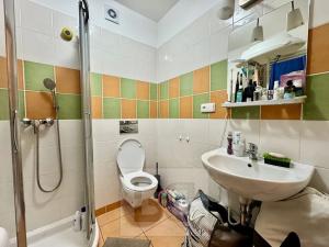 Pronájem bytu 1+kk, Brno, Božetěchova, 25 m2