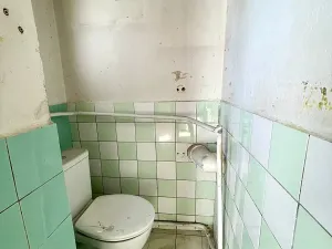 Prodej vícegeneračního domu, Lovosice, Dlouhá, 125 m2