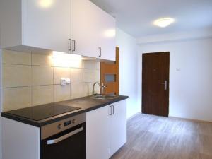 Pronájem bytu 1+kk, Zvěstov - Roudný, 27 m2