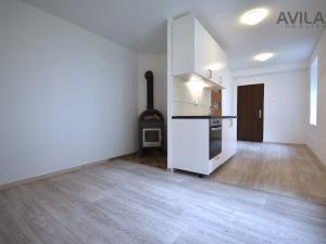 Pronájem bytu 1+kk, Zvěstov - Roudný, 27 m2