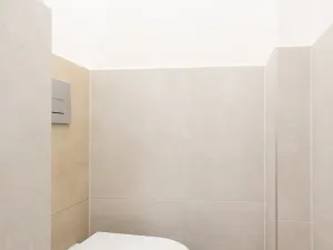 Prodej bytu 3+kk, Praha - Žižkov, Hartigova, 66 m2