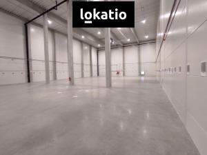 Pronájem skladu, Zdice, 944 m2