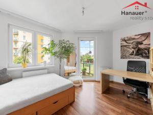 Prodej bytu 3+kk, Chlumec, Stradovská, 63 m2