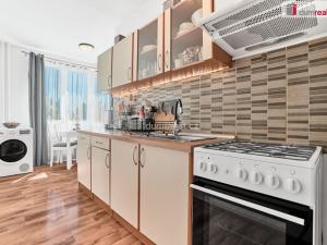 Prodej bytu 2+1, Karlovy Vary - Stará Role, Fibichova, 68 m2