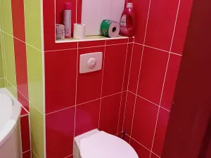 Pronájem bytu 1+kk, Frýdlant, Bělíkova, 37 m2
