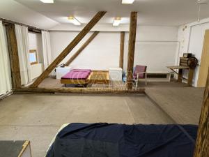 Pronájem rodinného domu, Nový Jičín, K Nemocnici, 280 m2