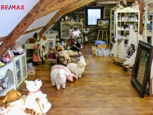 Prodej vícegeneračního domu, Znojmo - Kasárna, 790 m2