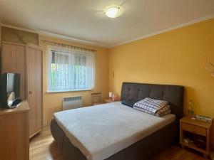 Pronájem rodinného domu, Cheb - Háje, Svatý Kříž, 100 m2