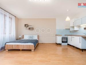 Pronájem bytu 1+kk, Praha - Záběhlice, Podle náhonu, 36 m2