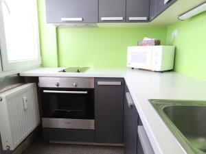 Prodej bytu 1+kk, Hradec Králové - Slezské Předměstí, Polní, 28 m2