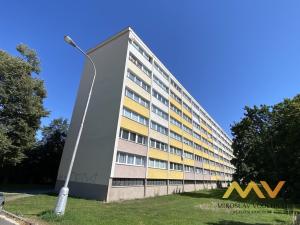 Prodej bytu 1+kk, Hradec Králové - Slezské Předměstí, Polní, 28 m2