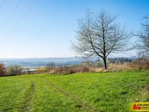 Prodej pozemku, Šošůvka, 1036 m2