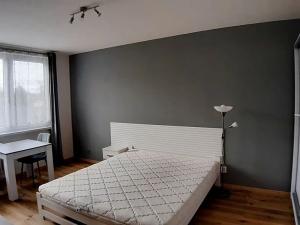 Pronájem bytu 1+kk, Praha - Modřany, Nikoly Vapcarova, 30 m2