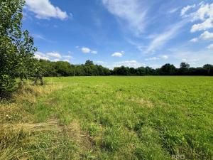 Prodej louky, Rohatec, 1161 m2