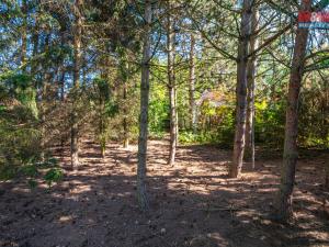 Prodej rodinného domu, Dolní Břežany, Nová, 220 m2