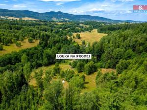 Prodej pozemku, Dlouhý Most, 8531 m2