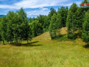 Prodej pozemku, Dlouhý Most, 8531 m2