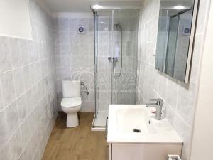 Pronájem bytu 1+1, Mochov, Havlíčkova, 30 m2