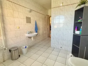 Prodej rodinného domu, Chudenín, 280 m2