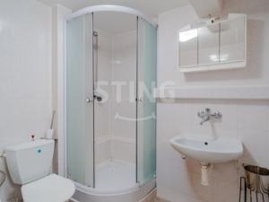 Prodej rodinného domu, Větřkovice, 497 m2