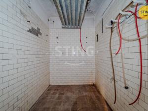 Prodej rodinného domu, Větřkovice, 497 m2