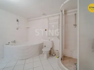 Prodej rodinného domu, Větřkovice, 497 m2