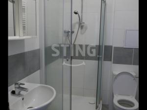 Pronájem bytu 1+kk, Ostrava - Přívoz, Nádražní, 28 m2