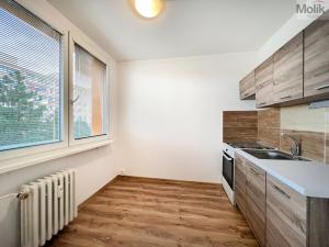 Pronájem bytu 1+1, Most, Lipová, 34 m2