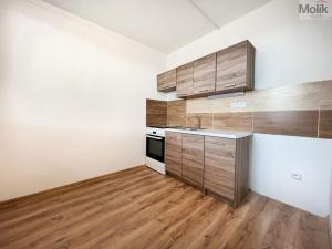 Pronájem bytu 1+1, Most, Lipová, 34 m2