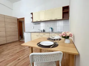 Pronájem bytu 1+kk, Praha - Žižkov, Cimburkova, 31 m2